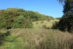 Sauersteig – Lüerwald und Bieberbach – Oesbern