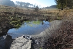 Sauersteig – Blick ins Land Runde - Usseln