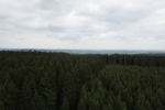 Sauersteig – Lörmecke-Turm-Pfad – Eversberg