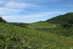Sauersteig – Kahler Asten-Steig – Westfeld