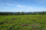 Sauersteig – Kahler Asten-Steig – Westfeld - Hochheide auf dem Kahlen Asten