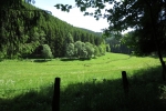 Sauersteig – Kahler Asten-Steig – Westfeld - Lennetal