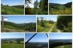 Sauersteig – Wilde 13 – Wildewiese