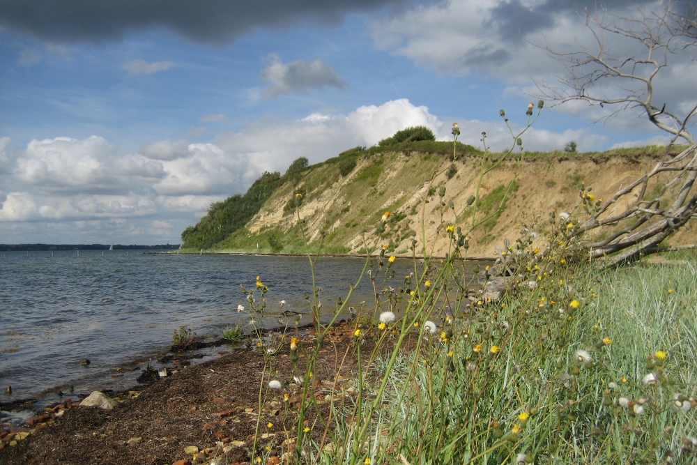 Schleswig-Holstein: Steilküste Holnis