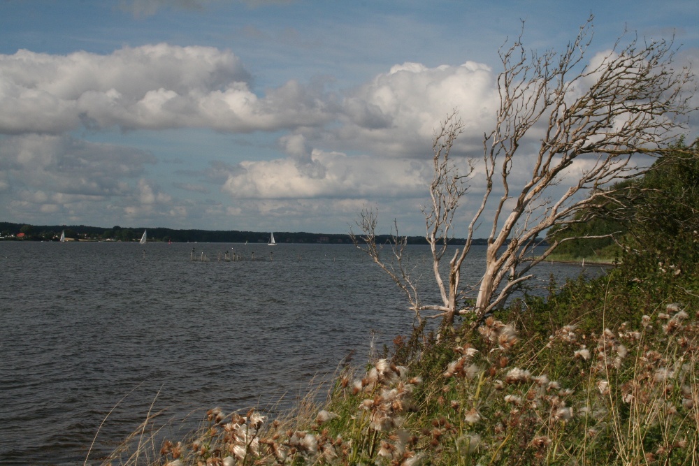 Schleswig-Holstein: Halbinsel Holnis