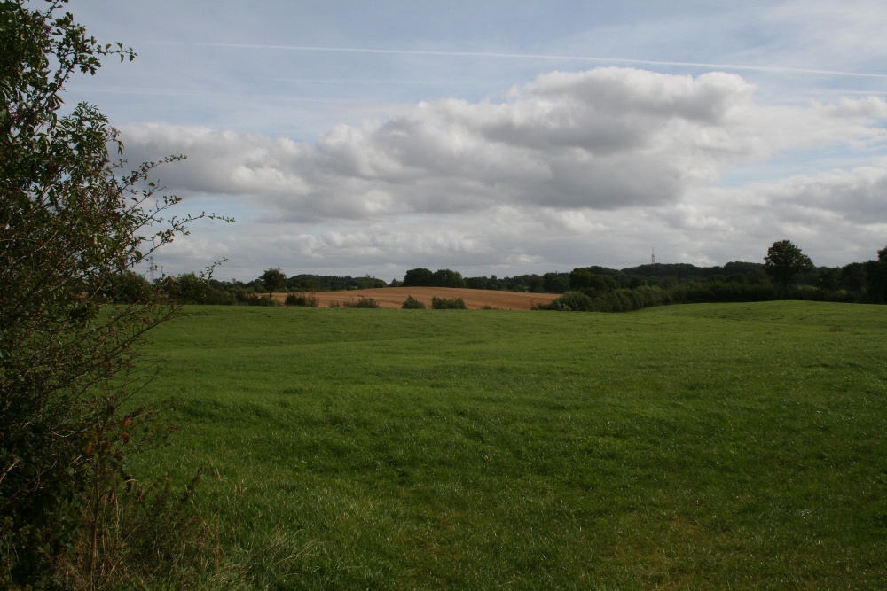 Schleswig-Holstein: Wiesen bei Tastrup