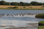 Schleswig-Holstein: Halbinsel Holnis