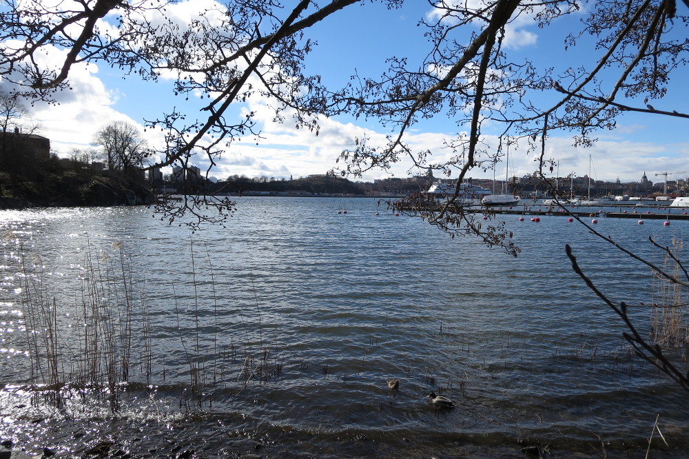 Djurgarden