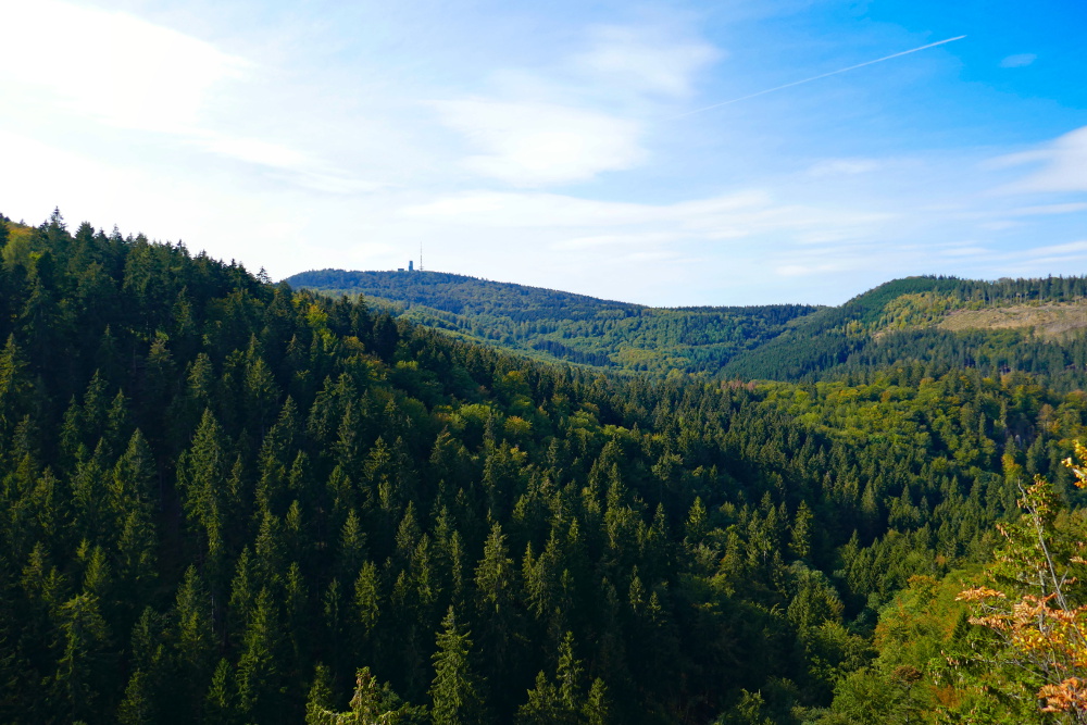 Thüringer Wald: Durch den Lauchagrund