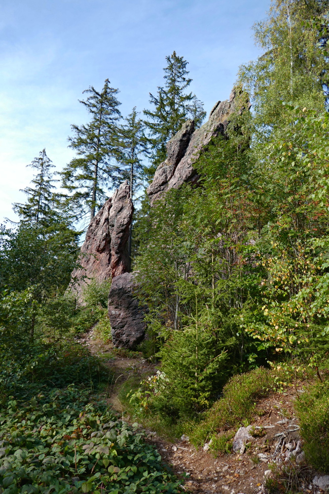 Thüringer Wald: Durch den Lauchagrund