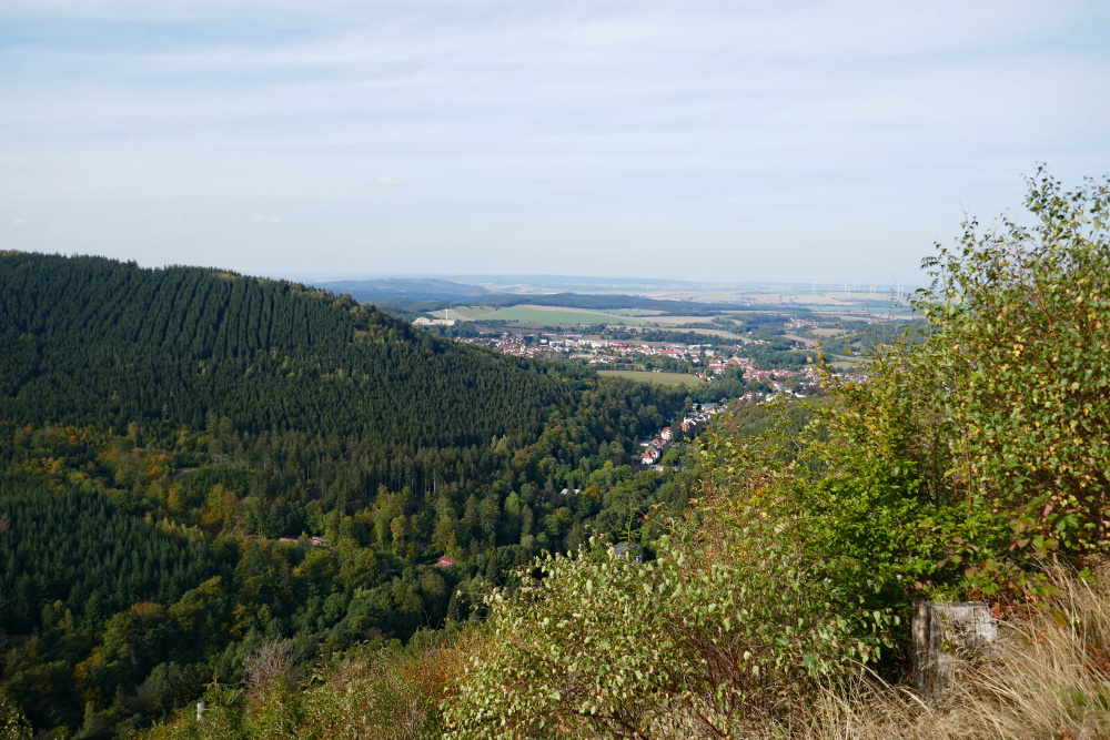 Thüringer Wald: Durch den Lauchagrund