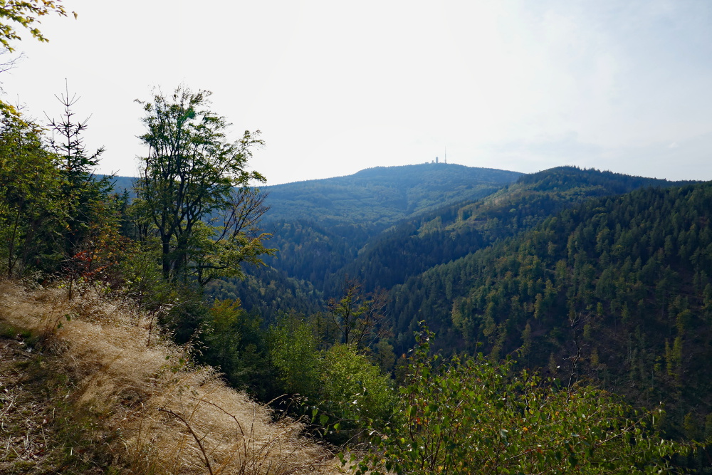 Thüringer Wald: Durch den Lauchagrund