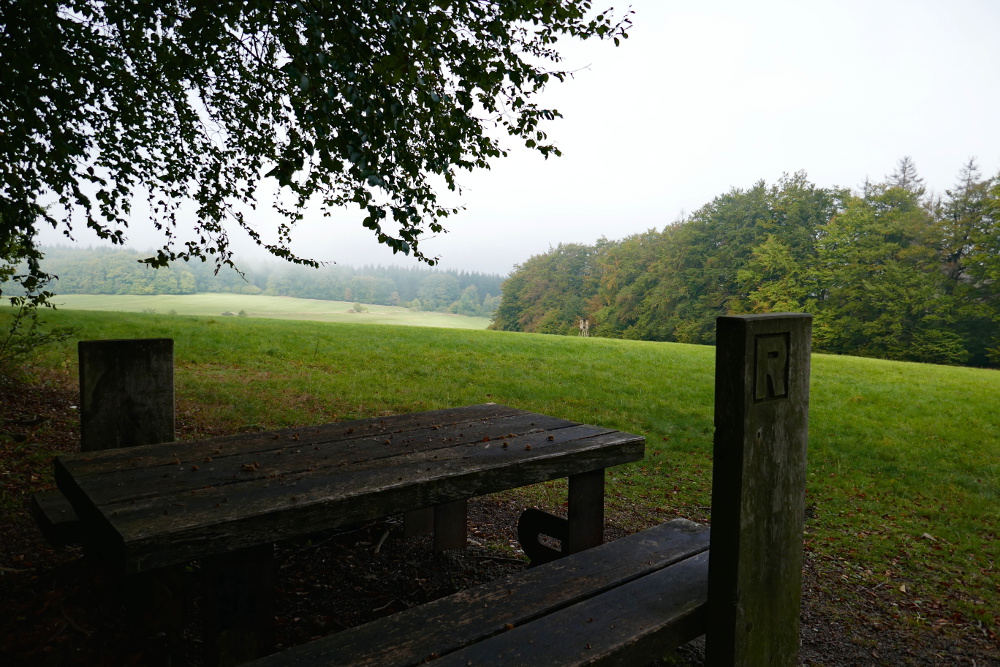 Thüringer Wald: Rennsteig #2 – Von der Hohen Sonne bis zum Großen Inselsberg