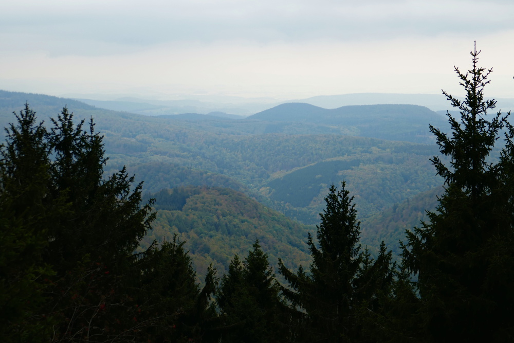 Thüringer Wald: Rennsteig #2 – Von der Hohen Sonne bis zum Großen Inselsberg