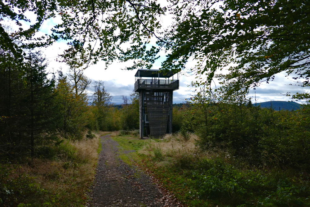 Rennsteig #3 - Vom Großen Inselsberg bis zur Neuen Ausspanne