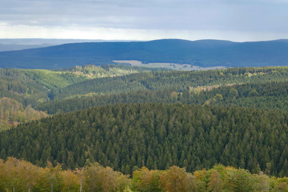 Rennsteig #3 - Vom Großen Inselsberg bis zur Neuen Ausspanne