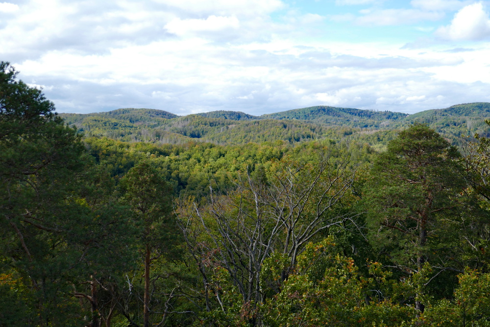 Thüringer Wald: Rund um die Wartburg