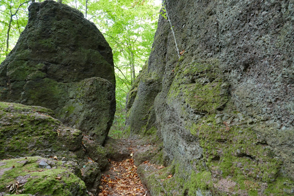Thüringer Wald: Rund um die Wartburg
