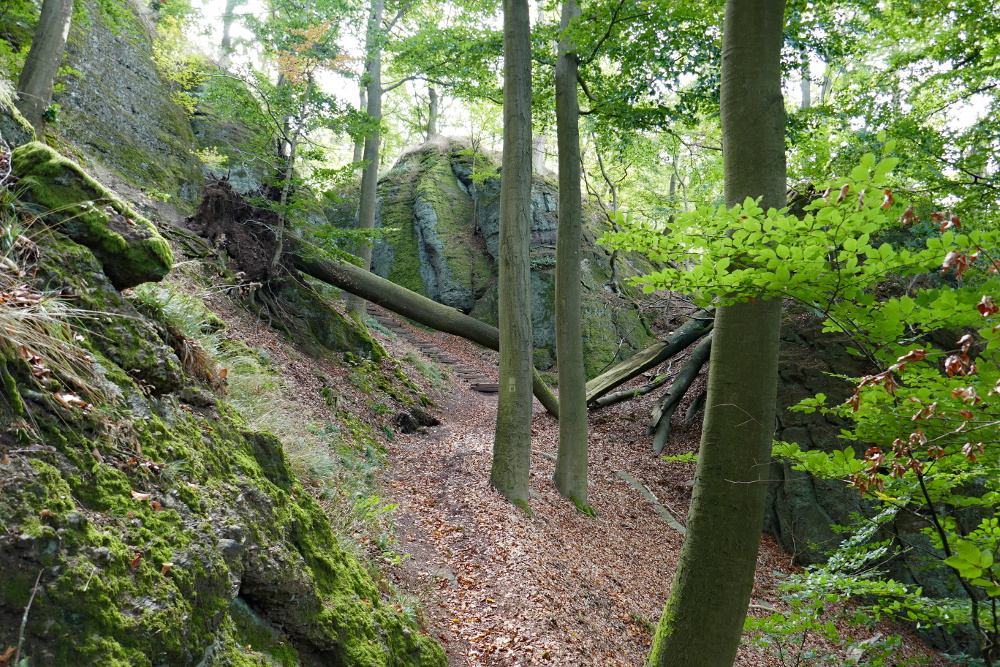 Thüringer Wald: Rund um die Wartburg