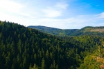 Thüringer Wald: Durch den Lauchagrund