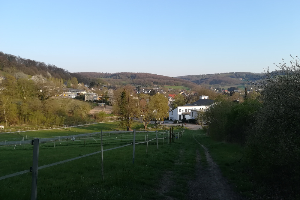 Track & Trail Isenberg