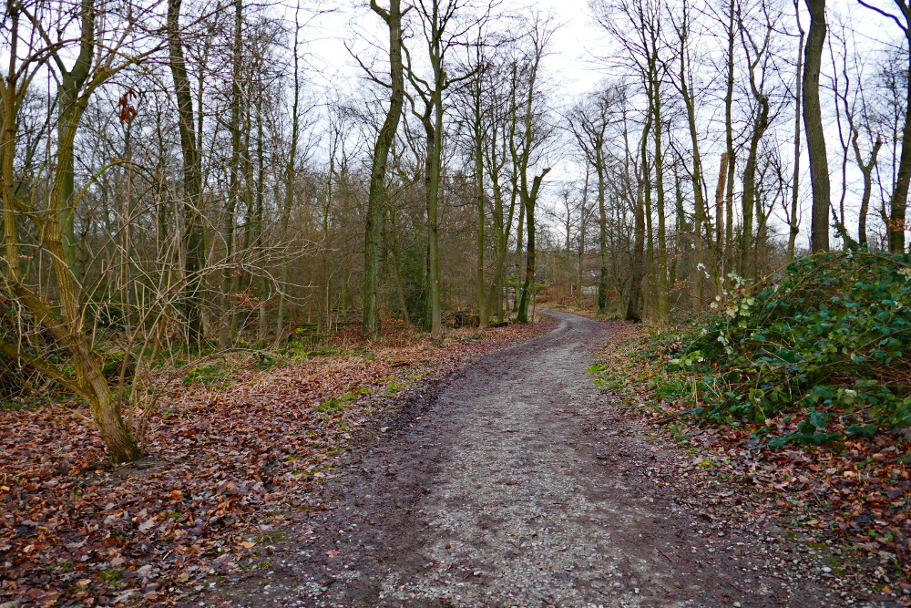 Track & Trail Rüttenscheid