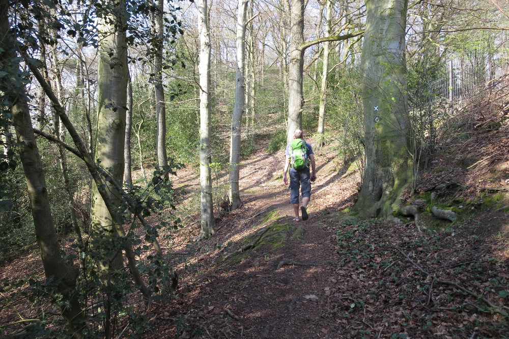 Track & Trail Hansberg