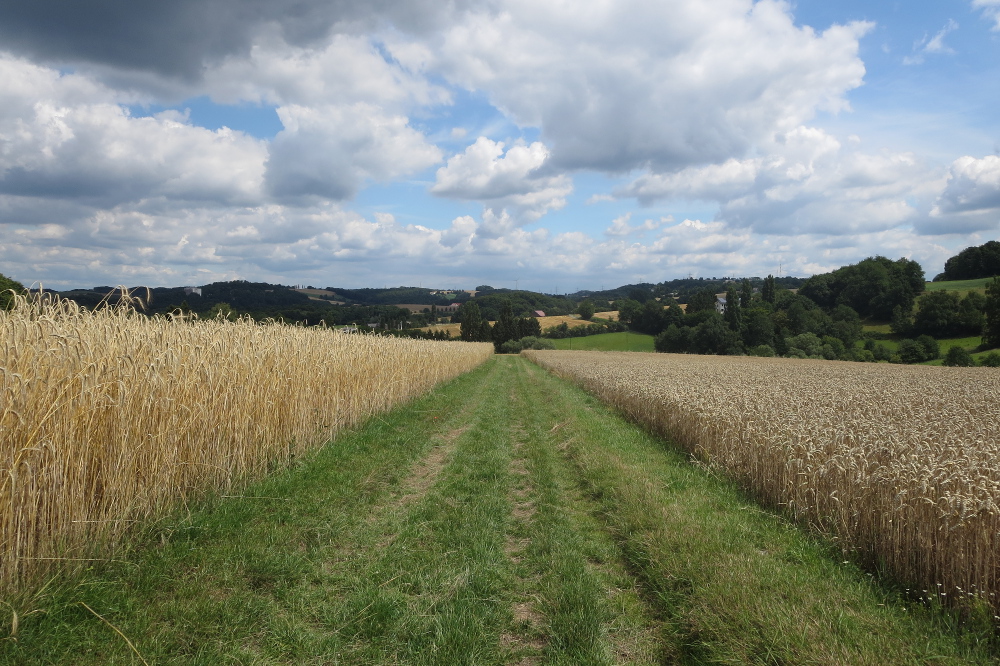 Track & Trail Oefte