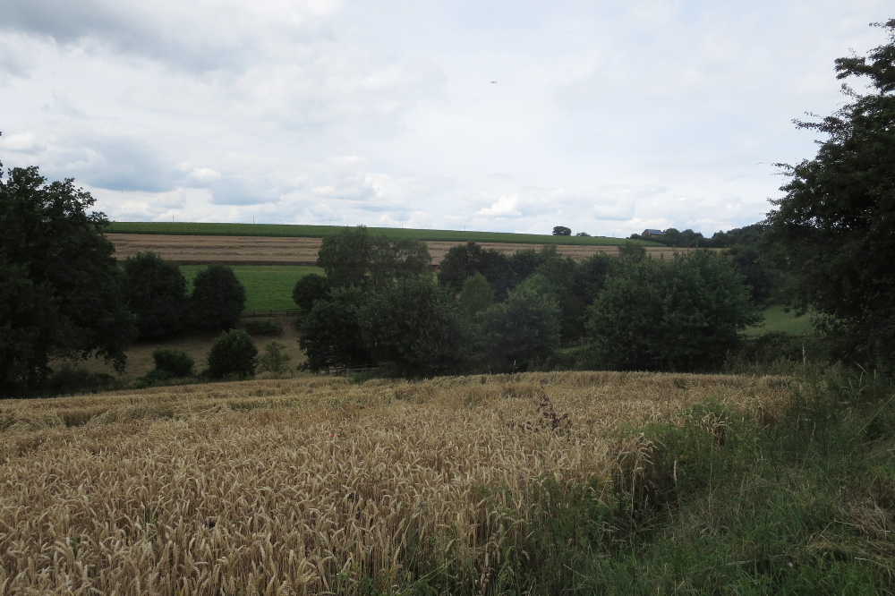 Track & Trail Oefte
