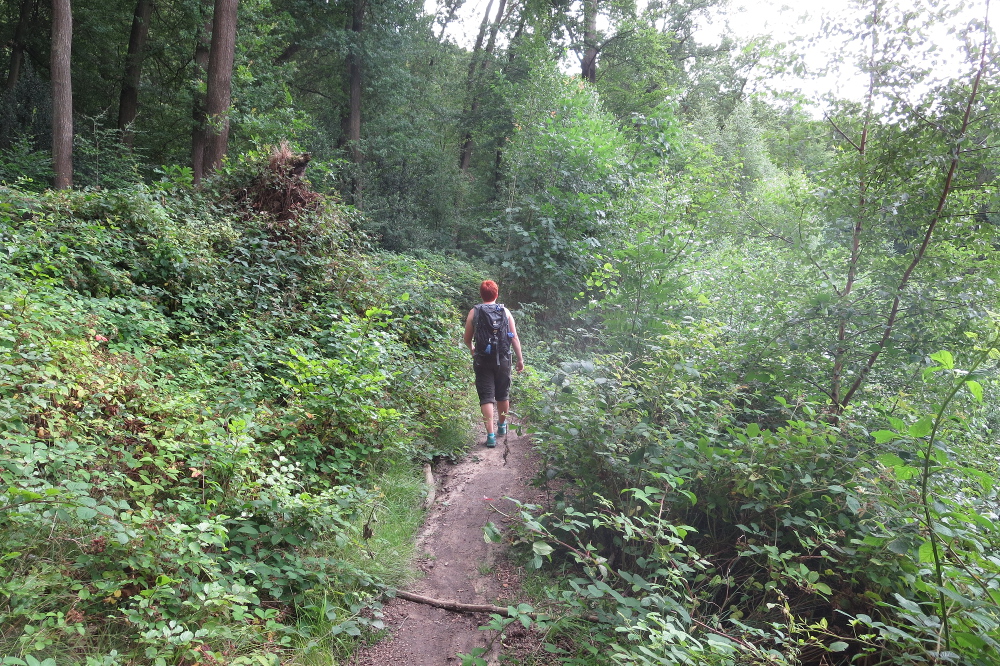 Track & Trail Oefte