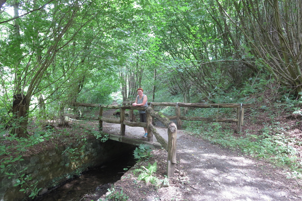 Track & Trail Langenhorst