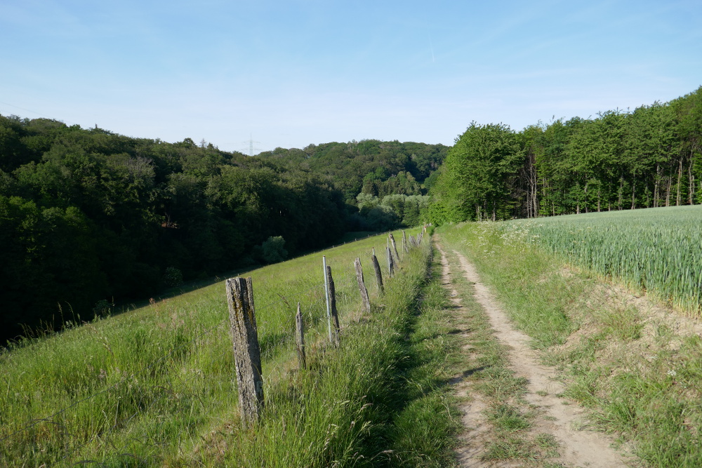 Track & Trail Asbachtal
