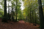 Track & Trail Felderbach