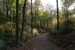 Track & Trail Felderbach