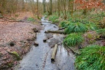 Track & Trail Rüttenscheid