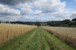 Track & Trail Oefte