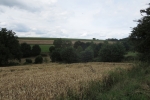 Track & Trail Oefte