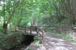 Track & Trail Langenhorst