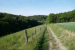 Track & Trail Asbachtal