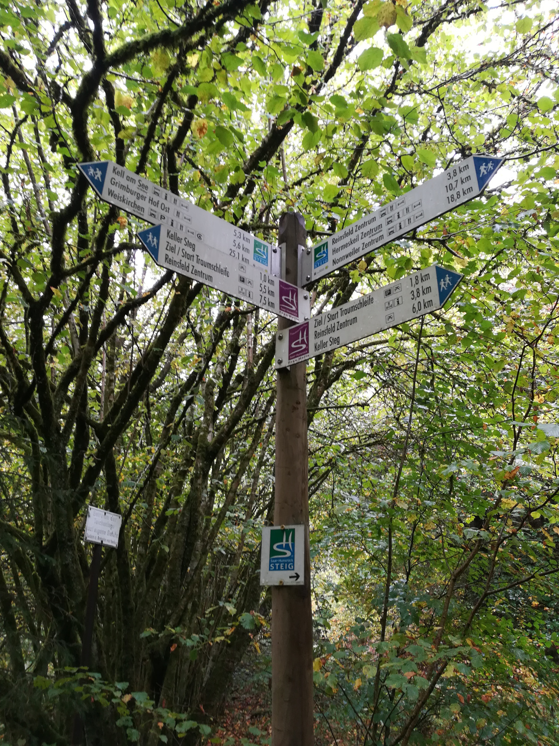 Traumschleife Frau Holle