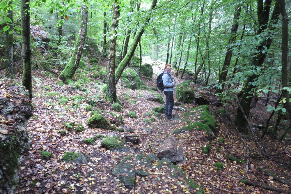 Traumschleife Ruwer-Hochwald-Schleife