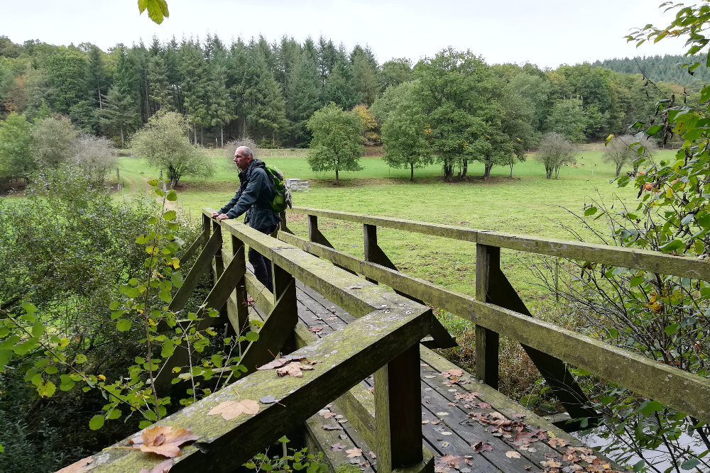 Traumschleife Ruwer-Hochwald-Schleife