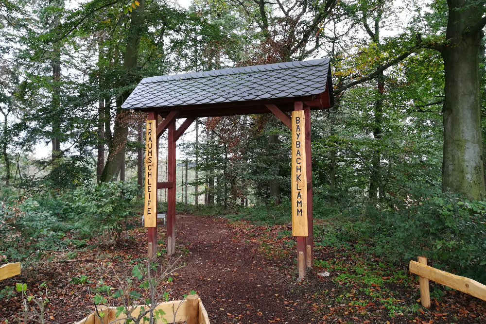 Traumschleife Baybachklamm