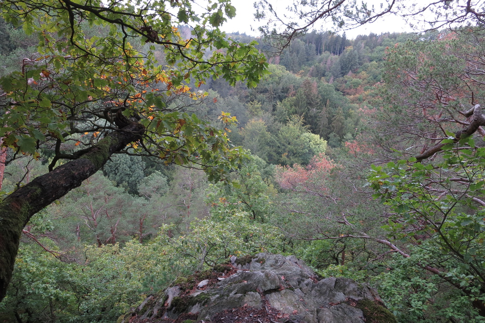 Traumschleife Baybachklamm