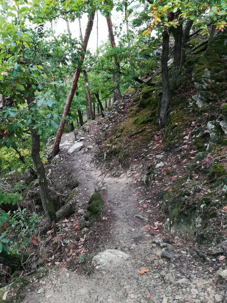 Traumschleife Baybachklamm