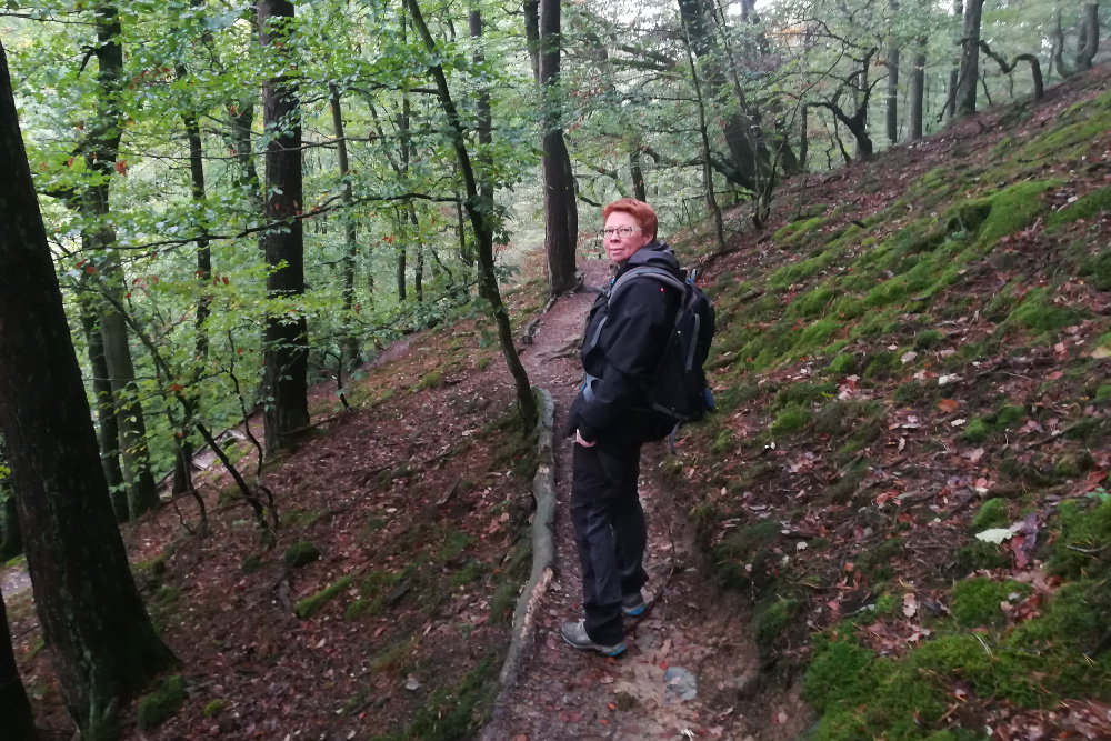 Traumschleife Baybachklamm