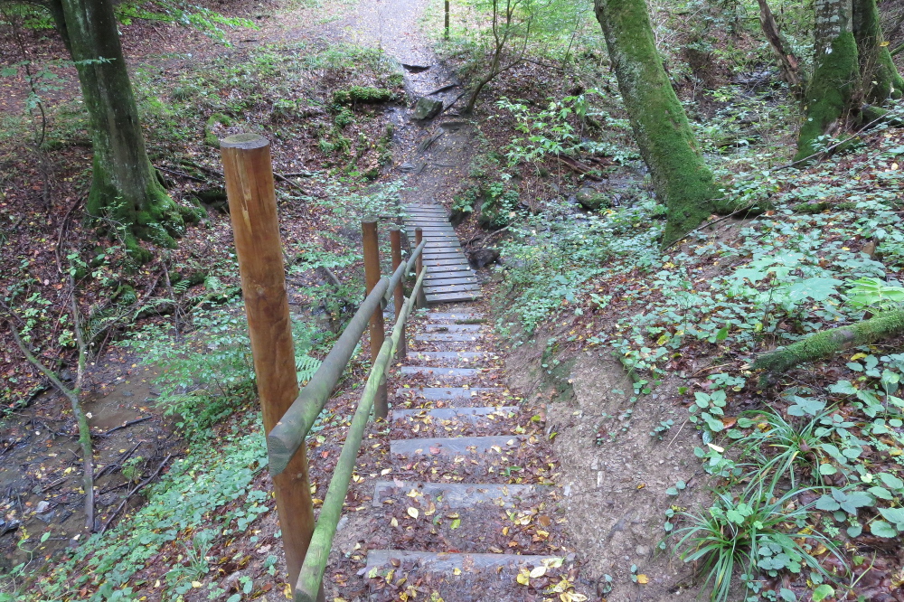 Traumschleife Baybachklamm