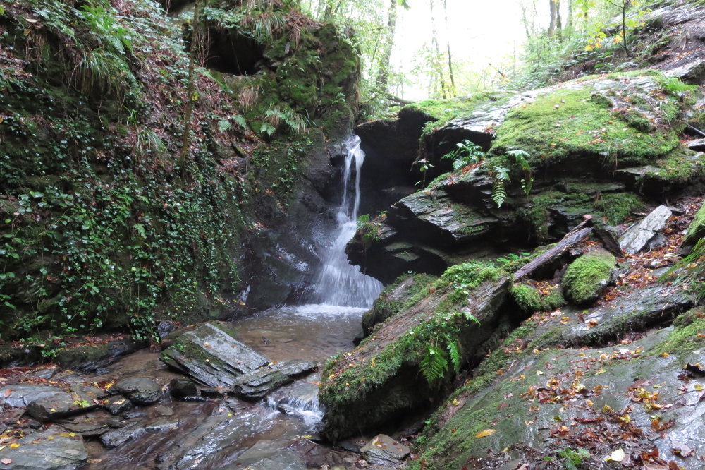 Traumschleife Baybachklamm