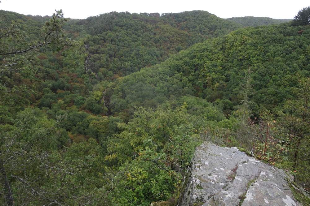 Traumschleife Baybachklamm
