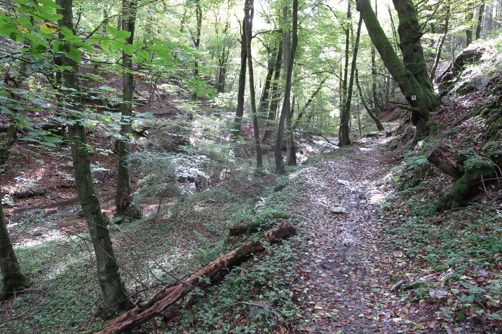 Traumschleife Masdascher Burgherrenweg